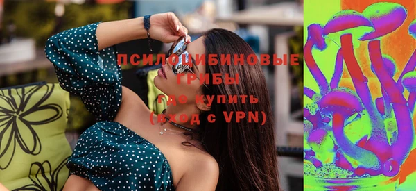 тгк Аркадак