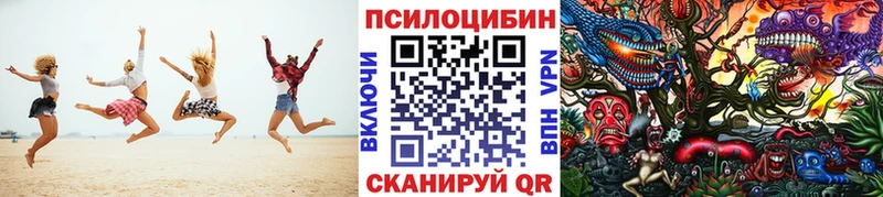 Галлюциногенные грибы Cubensis  Приморск 